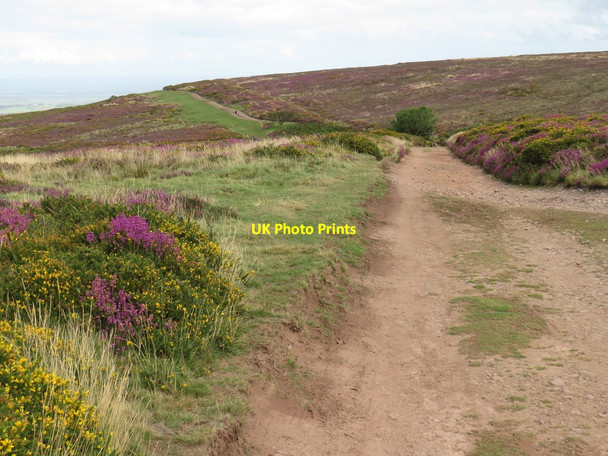 Photo 6"x4" Track on the Quantock Hills near Bicknoller Higher Street c2020