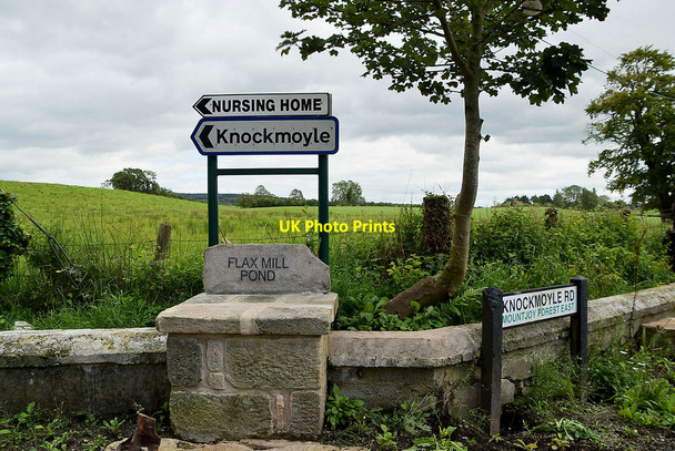 Photo 6"x4" The former flax mill pond, Mountjoy Forest East Mountjoy\/H4277 c2020