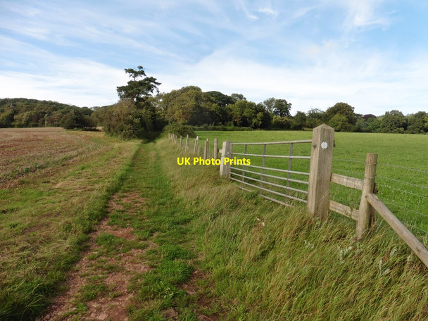Photo 6"x4" Bridleway to Truckle Wood Tyntesfield c2020