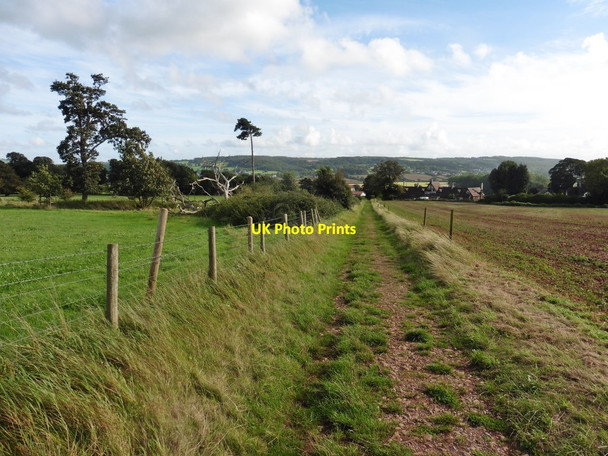 Photo 6"x4" Bridleway to South Lodge Tyntesfield c2020