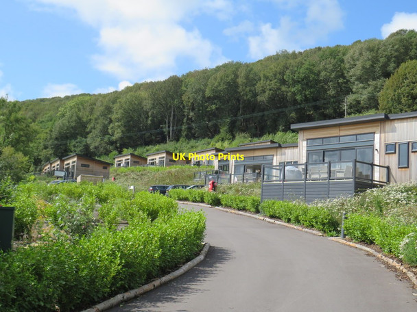 Photo 6"x4" Cheddar Woods holiday park, near Cheddar Axbridge c2020 P1