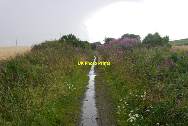 Photo 6"x4" Formartine and Buchan Way crosses the A952 Lonmay c2020
