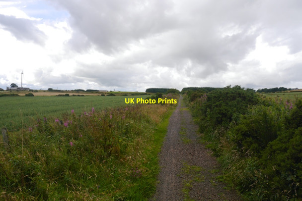 Photo 6"x4" Formartine and Buchan Way New Leeds c2020