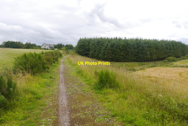Photo 6"x4" Pine Lodge and the Formartine and Buchan Way Maud c2020