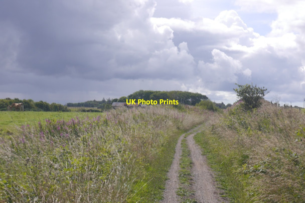 Photo 6"x4" Formartine and Buchan Way Rathen c2020