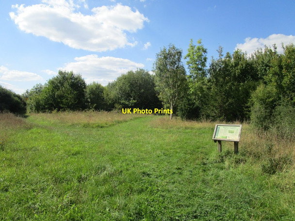 Photo 6"x4" Millennium Wood, King's Cliffe King's Cliffe c2020