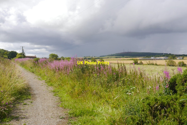Photo 6"x4" Formartine and Buchan Way Lonmay c2020 P1
