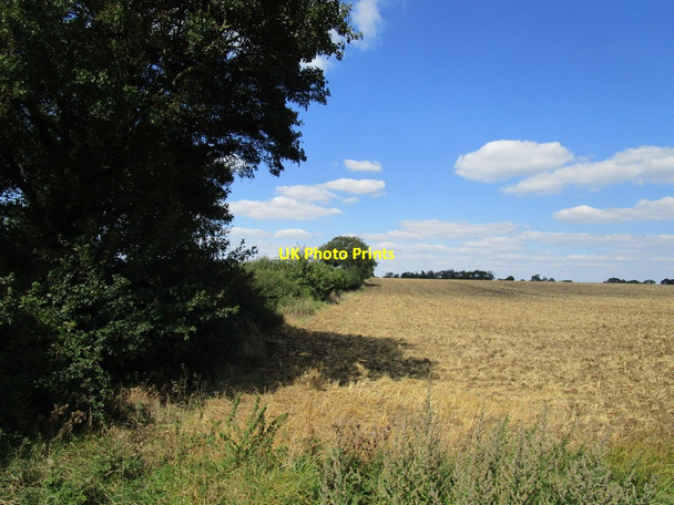 Photo 6"x4" Stubble field off the Roman road near King's Cliffe King's Cliffe c2020