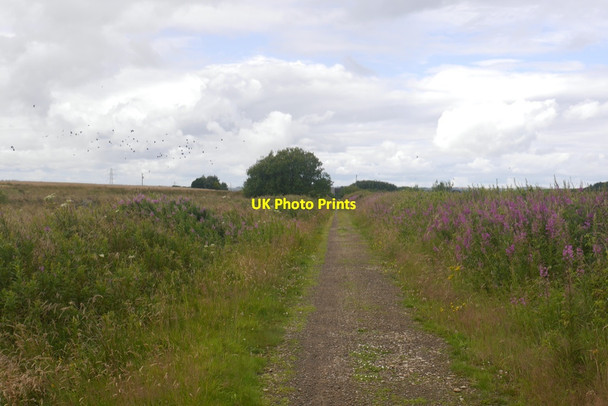 Photo 6"x4" Formartine and Buchan Way New Leeds c2020
