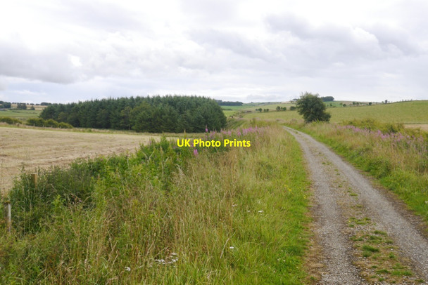 Photo 6"x4" Formartine and Buchan Way Maud c2020