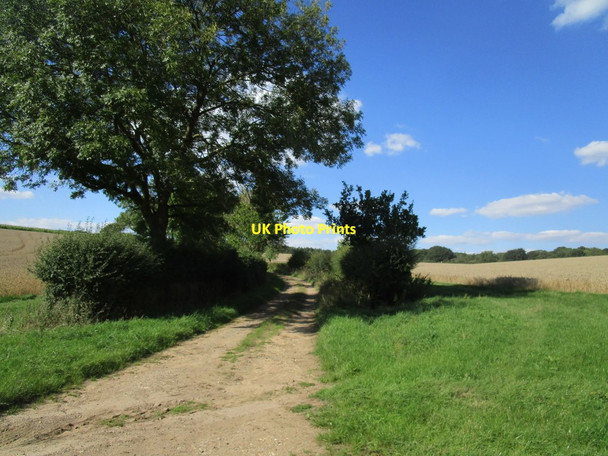 Photo 6"x4" Bridleway to Fineshade Wood Blatherwycke c2020