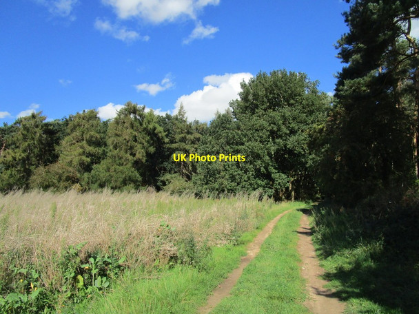 Photo 6"x4" Restricted byway, Stonepit Hills Great Massingham c2020