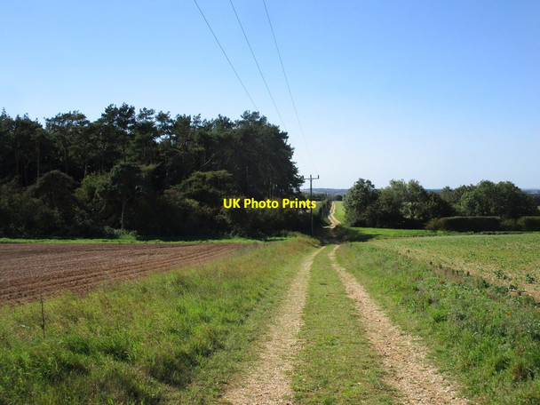 Photo 6"x4" Restricted byway to Congham Flitcham c2020