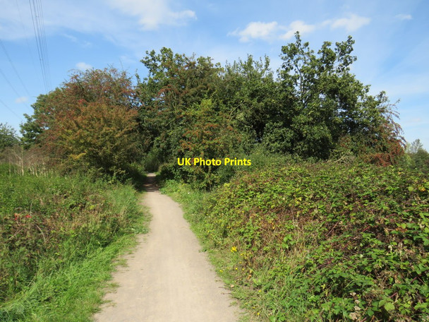 Photo 6"x4" Roding Valley Way near Ilford Ilford\/TQ4486 c2020