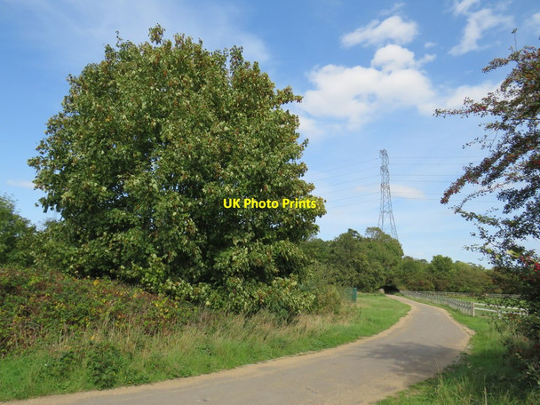 Photo 6"x4" Path near Wanstead Ilford\/TQ4486 c2020