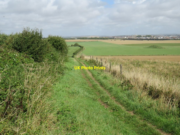 Photo 6"x4" Bridleway near Dorchester Dorchester\/SY6890 c2020