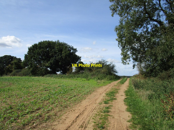 Photo 6"x4" Byway to Gayton Thorpe East Walton c2020