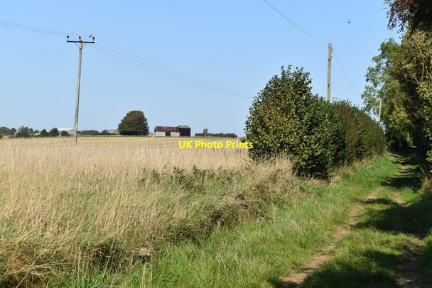 Photo 6"x4" Bridleway past College Farm Coombe Bissett c2020