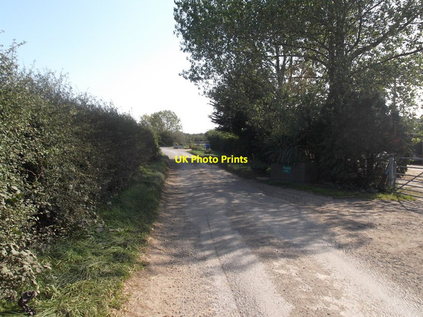 Photo 6"x4" The lane to Manor Farm Thirtleby c2020