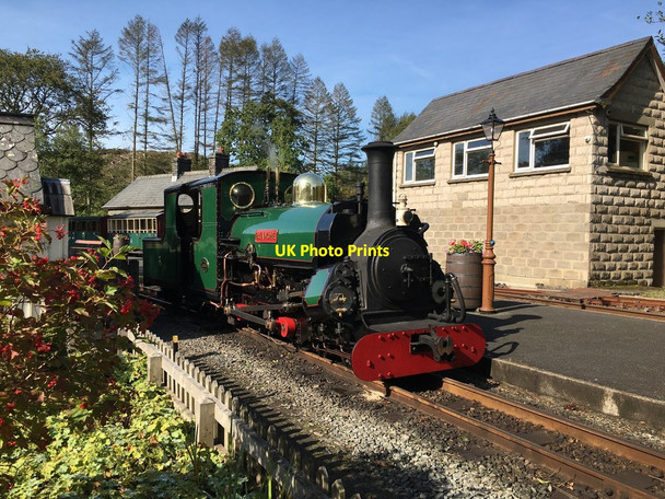 Photo 6"x4" Blanche at Tan-y-Bwlch Tan-y-bwlch\/SH6540 c2020