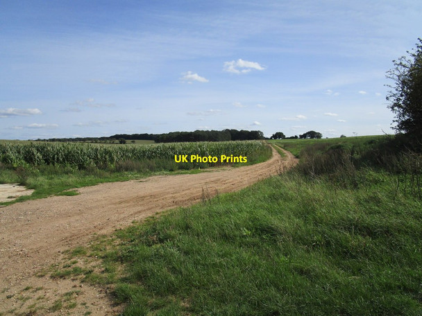 Photo 6"x4" Restricted byway to West Acre Gayton Thorpe c2020