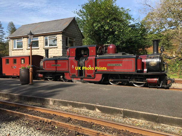 Photo 6"x4" Merddin Emrys at Tan-y-Bwlch Tan-y-bwlch\/SH6540 c2020