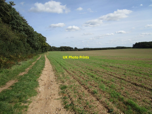 Photo 6"x4" Restricted byway to West Acre East Walton c2020