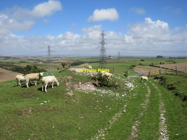 Photo 6"x4" South Dorset Ridgeway near Dorchester Coryates c2020
