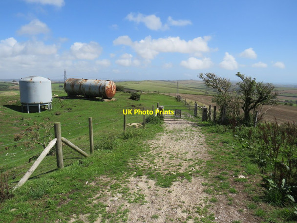 Photo 6"x4" South Dorset Ridgeway near Dorchester Coryates c2020 P1