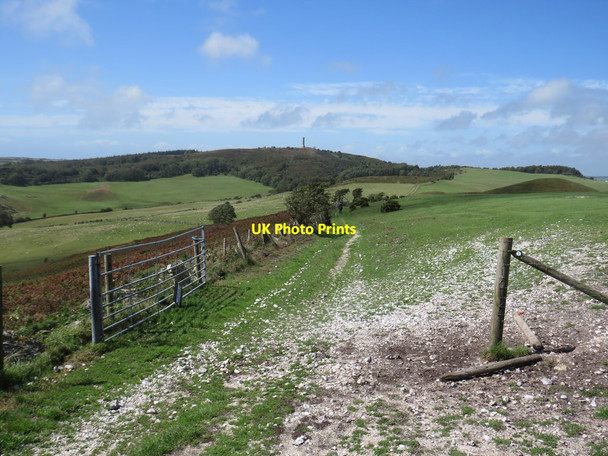 Photo 6"x4" South Dorset Ridgeway near Dorchester Coryates c2020 P2