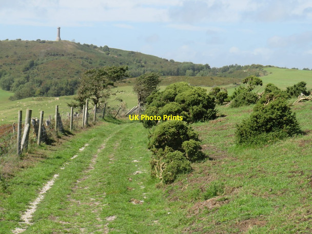 Photo 6"x4" South Dorset Ridgeway near Dorchester Coryates c2020 P3