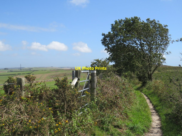 Photo 6"x4" South Dorset Ridgeway near Dorchester Coryates c2020 P1