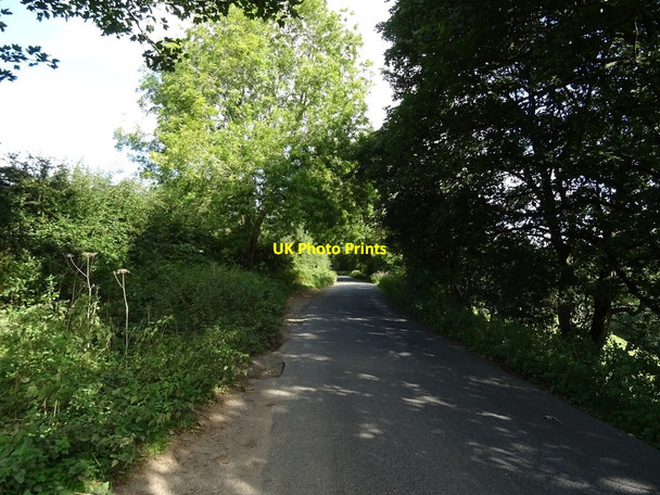 Photo 6"x4" Quarry Lane Osmotherley c2020