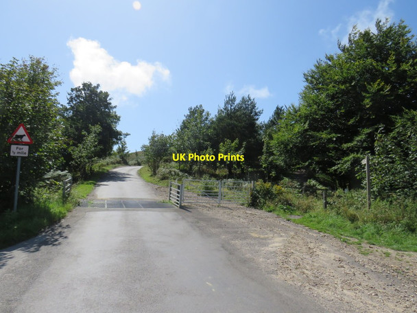 Photo 6"x4" Minor road near Portesham Coryates c2020
