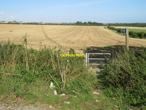 Photo 6"x4" Public footpath near Poundbury Dorchester\/SY6890 c2020