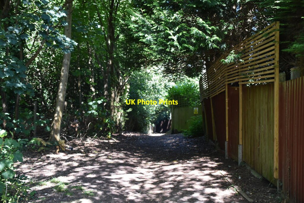 Photo 6"x4" Bridleway, Lake Wood Keston c2020