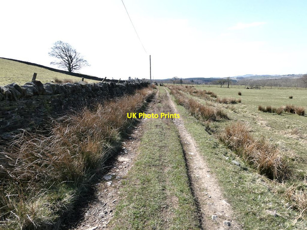 Photo 6"x4" Byway from Elrington to Langley Castle Haydon Bridge c2021