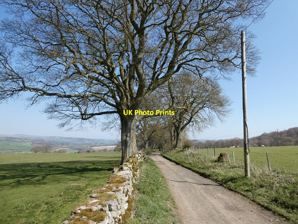 Photo 6"x4" Byway from Langley Castle to Elrington Haydon Bridge c2021