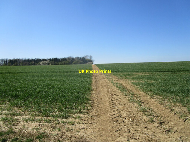 Photo 6"x4" Bridleway and Marriott's Spinney Wymondham\/SK8518 c2021