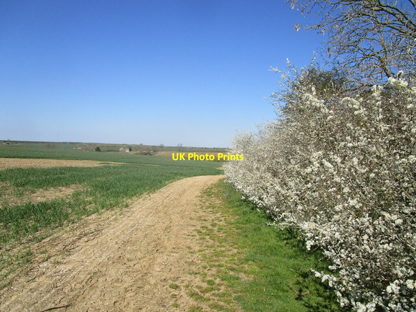 Photo 6"x4" Bridleway and blackthorn Wymondham\/SK8518 c2021