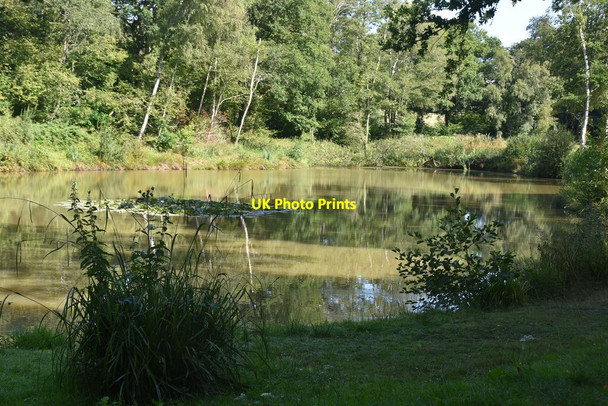 Photo 6"x4" Pond #2, The Slade Cinder Hill\/TQ3729 c2020