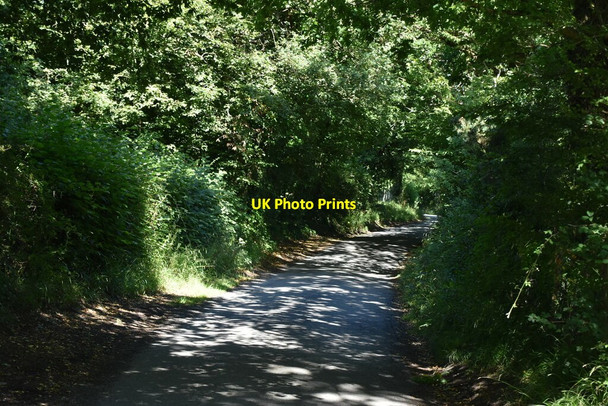Photo 6"x4" Broadhurst Manor Rd Cinder Hill\/TQ3729 c2020 P2