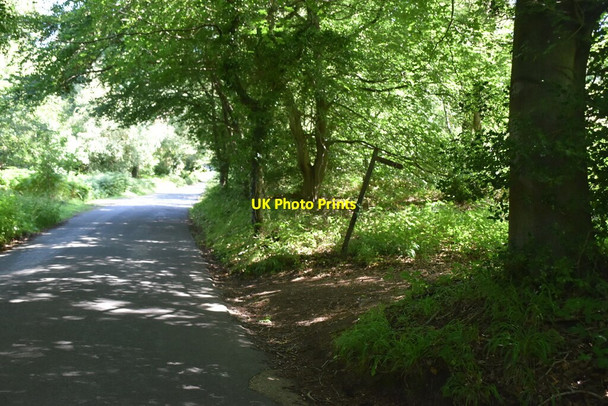Photo 6"x4" Bridleway off Twyford Lane Wych Cross c2020