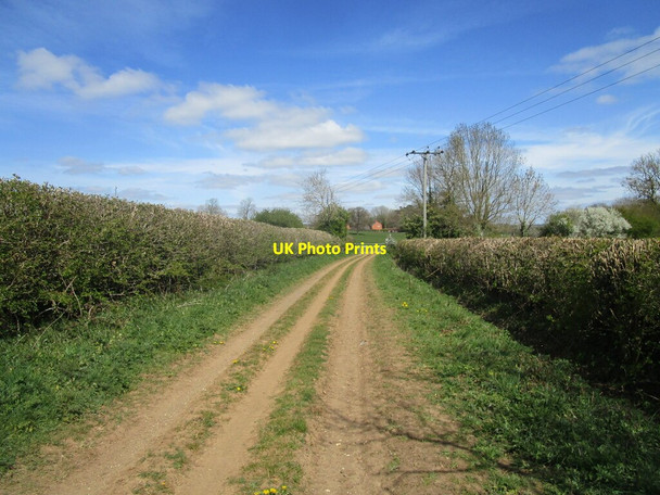 Photo 6"x4" Byway towards Thornby Thornby\/SP6675 c2021