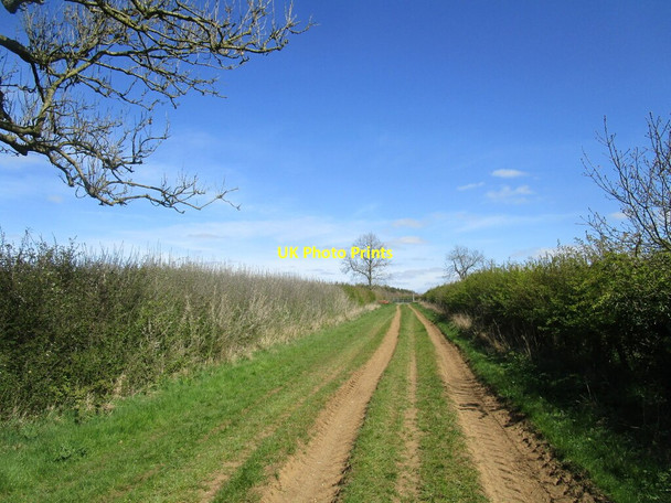 Photo 6"x4" Byway between Winwick and Cold Ashby Cold Ashby c2021