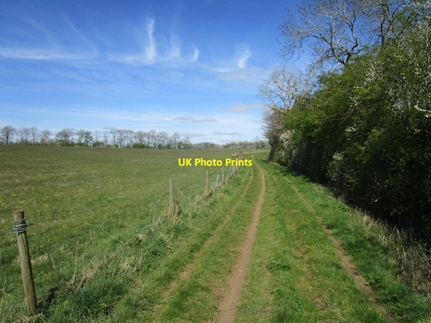 Photo 6"x4" Byway between Winwick and Cold Ashby Elkington c2021