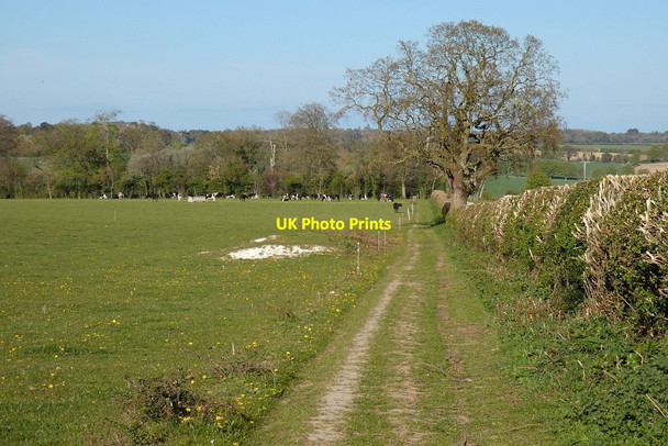 Photo 6"x4" Pasture and bridleway, Hampstead Norreys Eling\/SU5275 c2021