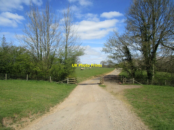 Photo 6"x4" Cattle grid near Grange Farm, Thornby Thornby\/SP6675 c2021