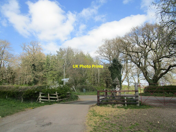 Photo 6"x4" Cattle grid adjacent to Ashby Lane near Thornby Thornby\/SP6675 c2021