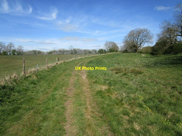 Photo 6"x4" Byway to Cold Ashby Elkington c2021